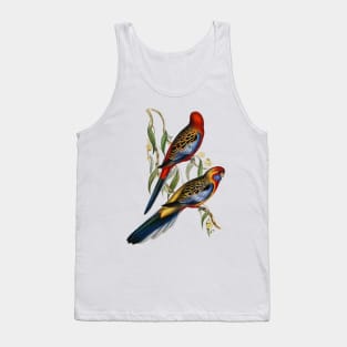 Adelaide Parakeet Vintage Illustration Tank Top